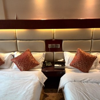 安岳橄榄枝主题酒店酒店提供图片
