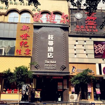 巴中枝蔓酒店酒店提供图片