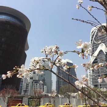 南京雨花客厅民宿酒店提供图片