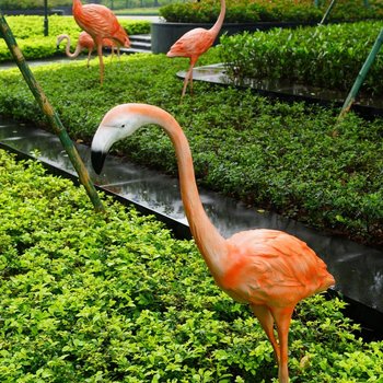 广州长隆高喜度假公寓酒店提供图片