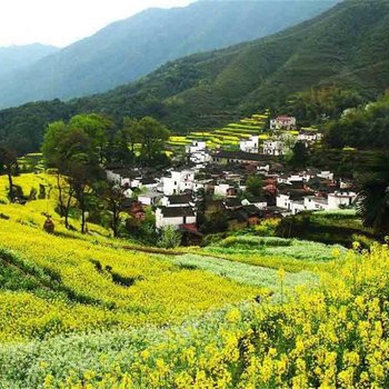 婺源江岭壹号客栈酒店提供图片