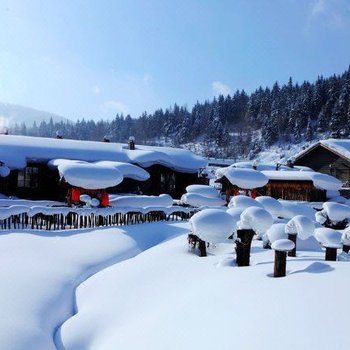 牡丹江雪乡盛世之华家庭旅馆酒店提供图片