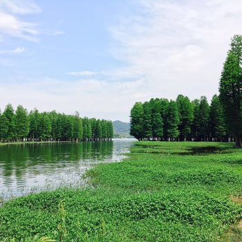 宁波四明湖畔度假复式住宅复式酒店提供图片