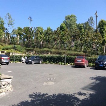 武隆仙女山木里小镇公寓酒店提供图片
