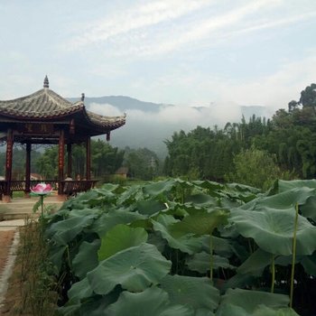 洪雅雅女荷园酒店提供图片