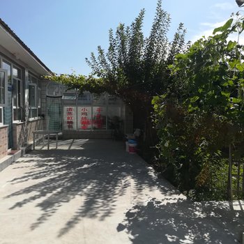 北京林翠萍农家院