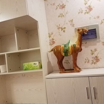 成都秀美之居公寓(银河路分店)酒店提供图片