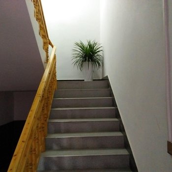 桑植良辰山庄酒店提供图片