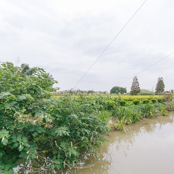 上海我爱小奶酪度假别墅(陈桥路分店)酒店提供图片