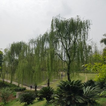 成都她他小屋(香槟路分店)酒店提供图片