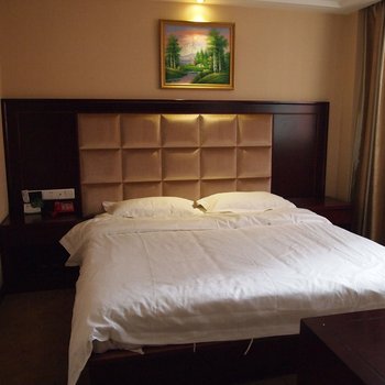 团风山河假日酒店酒店提供图片