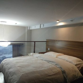 上海ElsaInn公寓(唐陆公路与银樽路交叉口分店)酒店提供图片