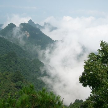 武当山好运来家庭旅馆酒店提供图片