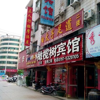 兴国橄榄树宾馆