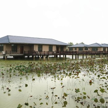 泗洪金水度假村酒店提供图片