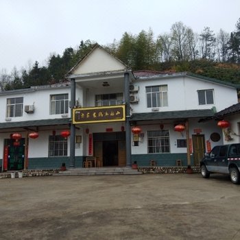 岳西山林土鸡酒店提供图片