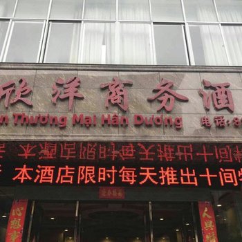 河口欣洋商务酒店酒店提供图片