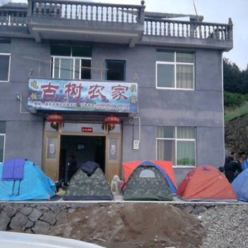 遂昌南尖岩古树人家酒店提供图片