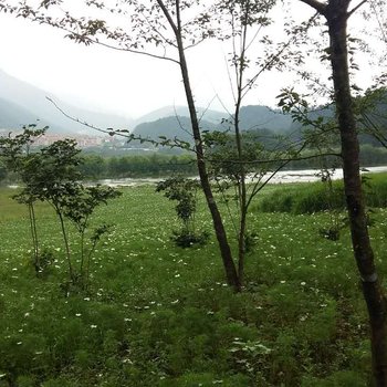 ���췼��԰��Ƶ�Ƶ��ṩͼƬ