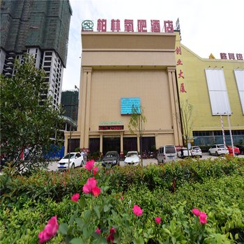 南阳柏林氧吧酒店酒店提供图片