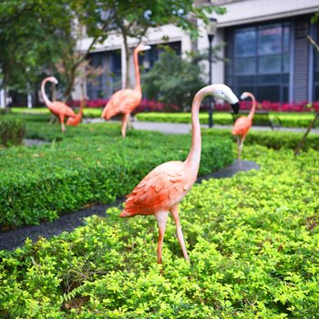 广州青春邂逅青年旅社酒店提供图片