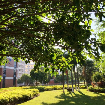 海口桂林洋大学城抱朴守拙公寓酒店提供图片