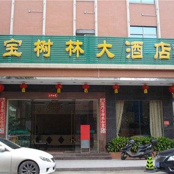 清远宝树林大酒店酒店提供图片