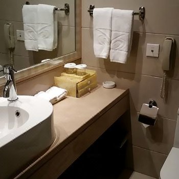 平顶山神马大酒店酒店提供图片