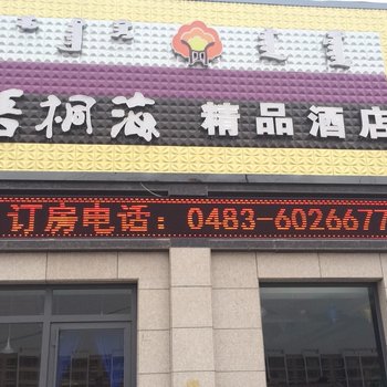 阿拉善右旗梧桐海精品酒店酒店提供图片