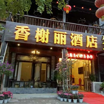 洪雅香榭丽酒店(王府店)酒店提供图片