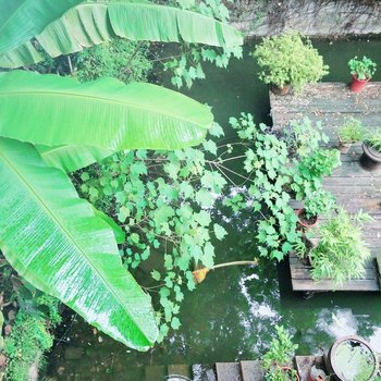 湖州百间楼客栈酒店提供图片