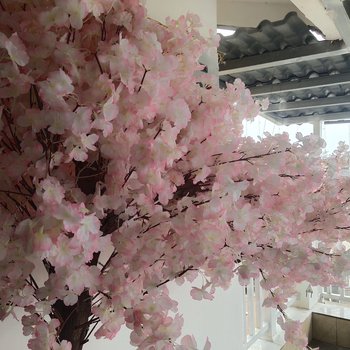 凉山傲天无痕公寓(2号店)酒店提供图片