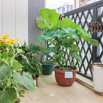 成都凌晨一点民宿酒店提供图片