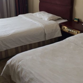 白银华谊大酒店酒店提供图片