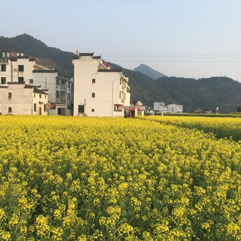 婺源乡间小栈酒店提供图片