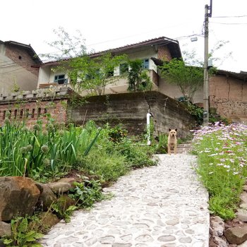 重庆耿蕊农家乐酒店提供图片