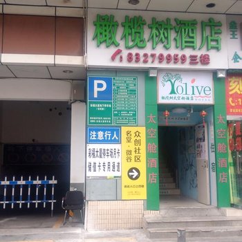 深圳橄榄树太空舱酒店