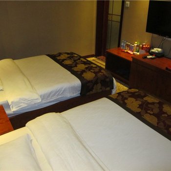 嵩县金阳光商务酒店酒店提供图片