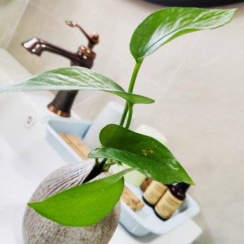 漳州漳州东山礼遇轻民宿酒店提供图片