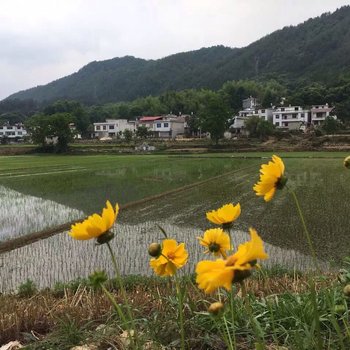 罗田恒源农家乐酒店提供图片