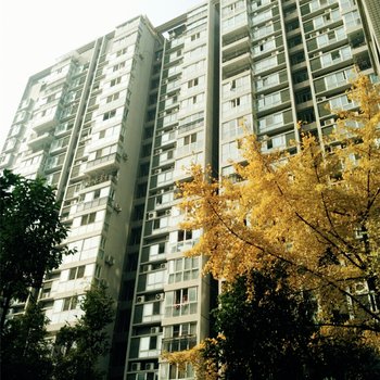 成都阿梦家温馨阳光公寓酒店提供图片