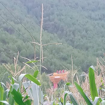 凉山木之家特色民宿酒店提供图片