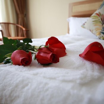 广州南沙豪达嘉源酒店酒店提供图片