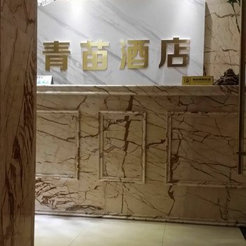 雅安青苗公寓酒店提供图片