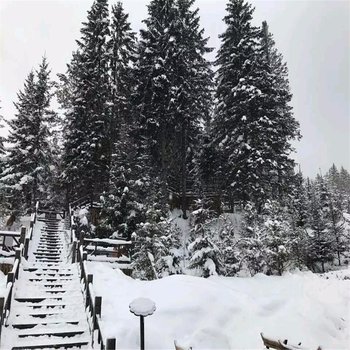 雪乡陆国英客栈酒店提供图片