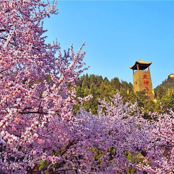 长治始祖百草堂度假村酒店提供图片