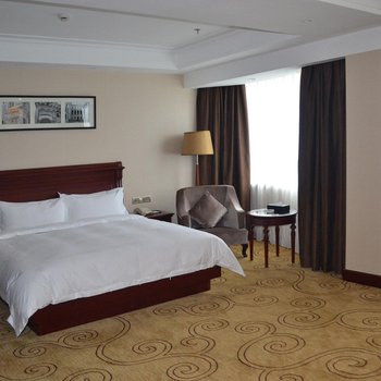 益阳罗马国际大酒店酒店提供图片