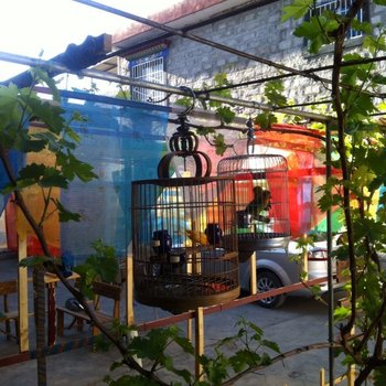拉萨捌零乌托邦客栈酒店提供图片