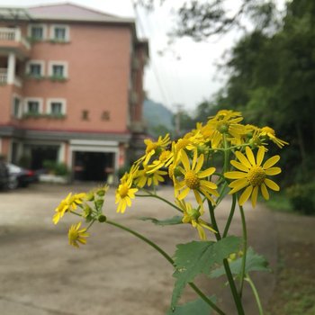 安吉夏庄(农家乐)酒店提供图片