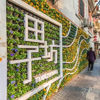 �Ϻ���̲����2017�Ƶ��ṩͼƬ